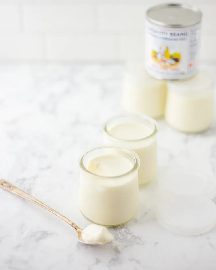 Vietnamese Yogurt Recipe